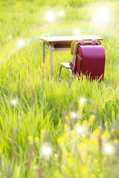 緑の草の学校の机そしてバックパックの屋外 — ストック写真