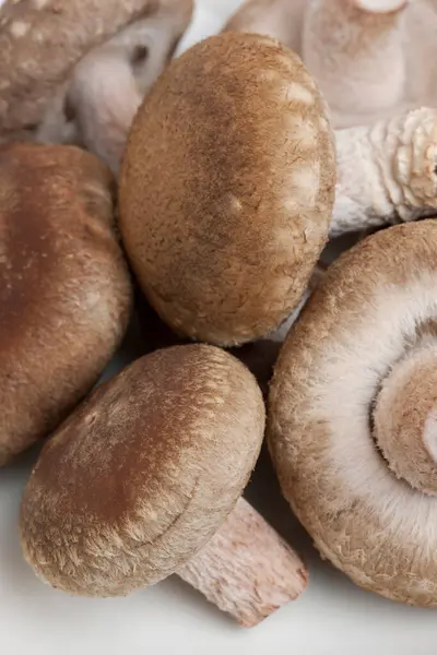 Fresh Mushrooms Healthy Food Concept — Stock Photo, Image