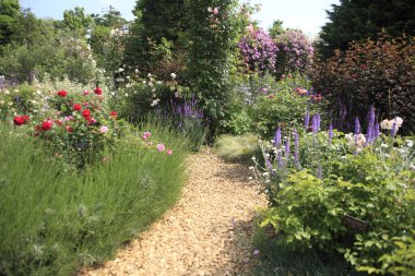 Yaz parkında çiçek açan çeşitli güzel çiçekler.