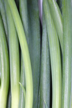 Arka planda yeşil taze soğan, kapat