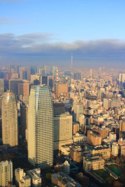 Tokyo şehir manzarası yukarıdan görünüyor. Japonya