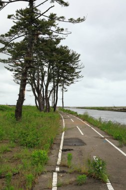 Parktaki yolda nehirde 