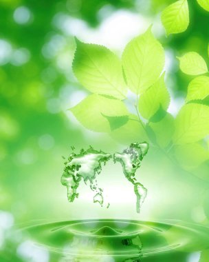 su damlası ve yaprak