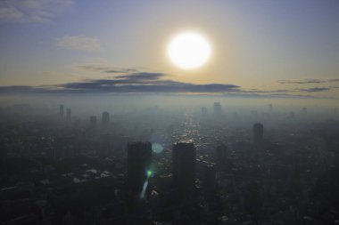 Tokyo şehir manzarası yukarıdan görünüyor. Japonya