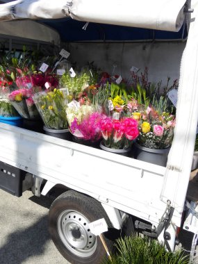 Pazarda satılık güzel çiçekler.