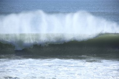 Sahilde güzel deniz dalgaları       