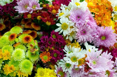 Yaz günü parlak çiçekler.