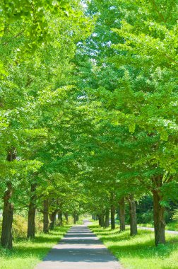Parkın güzel manzarası