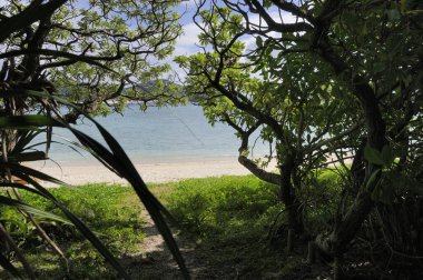 Samut Songkram Tayland plajı.