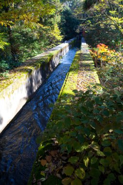 Sonbahar parkında nehir akan küçük bir kanal. 