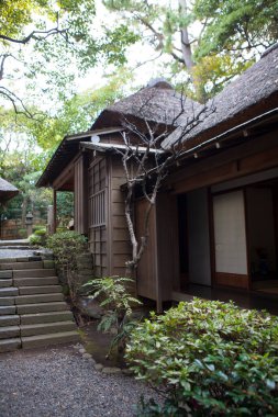 Geleneksel ahşap binaları olan güzel Japon bahçesi 