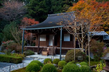 Geleneksel Japon evi sonbahar ağaçları ve manikürlü bahçeyle çevrili.