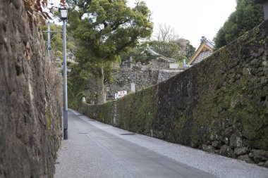 Modern evlerle dolu banliyö sokak manzarası