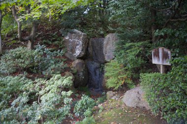 Arka planda şelale olan Japon bahçesi..