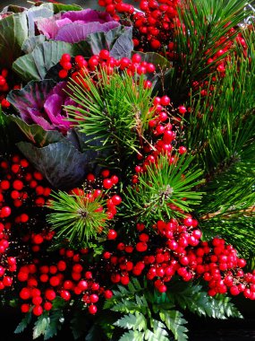 Kırmızı böğürtlenli ve yeşil dallı güzel Noel arkaplanı