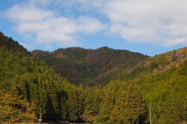 Ağaçlarla ve manzaralı dağlarla dolu sonbahar manzarası