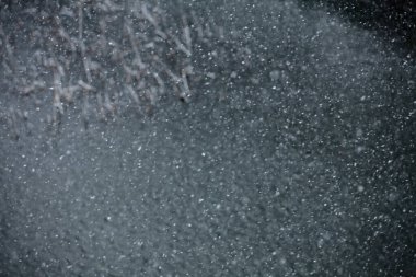 Parkta kar yağışı. kış arkaplanı.