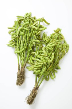 Beyaz arka planda kuru yeşil fasulyeler izole edilmiş.