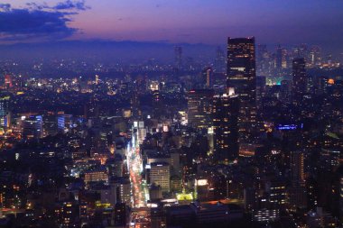 Tokyo şehir manzarası yukarıdan görünüyor. Japonya