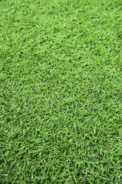 Yeşil çimen alanı arkaplanı.