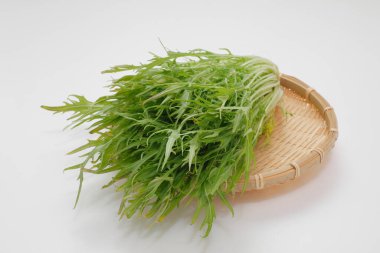 Mizuna taze yeşil yaprakları (Japon hardal yeşili veya örümcek hardalı) beyaz arka planda izole edilmiştir.