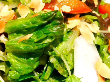 Lezzetli sebze salatasının yakın görüntüsü. Sağlıklı yemek. 