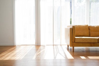 Şık kanepeli, güzel, modern bir evin iç çekimi.