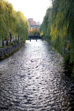 Nehir ve ağaçların üzerindeki köprünün güzel manzarası 