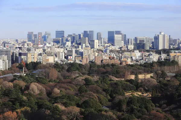 Udsigt Tokyo Byens Skyline Solrig Dag Det Forenede Kongerige - Stock-foto