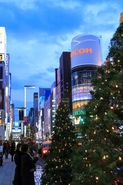 Escena Noche Navidad Tokio Japón —  Fotos de Stock