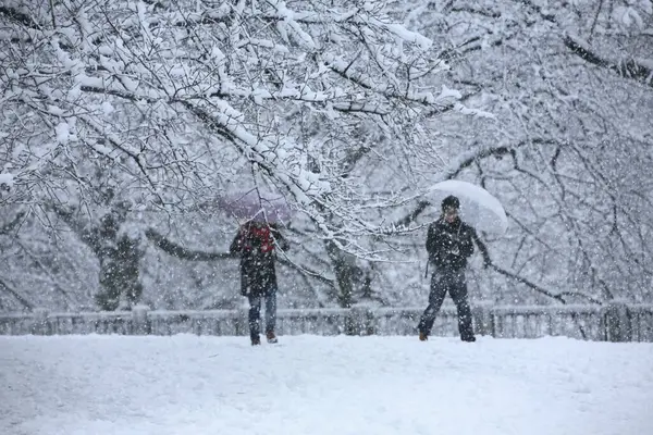 people walking in winter park during a heavy snowfall