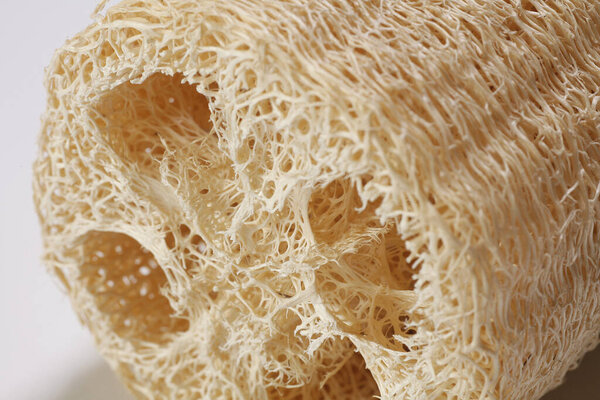  luffa губка изолированы на заднем плане, крупным планом