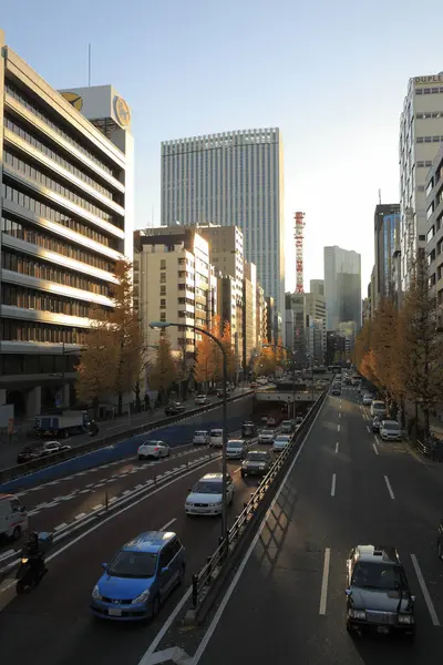 Stadslandskap Med Tung Trafik Tokyo Japan — Stockfoto