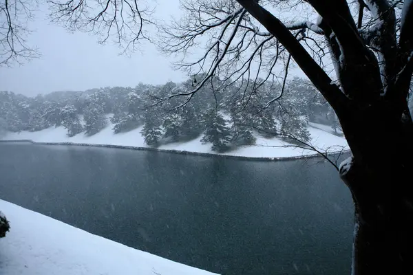 雪に覆われた木々や川がある冬の風景 — ストック写真