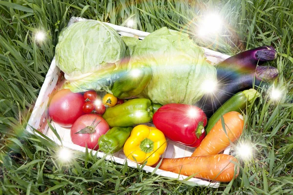 Verduras Frescas Orgánicas Una Canasta Concepto Alimentos Saludables Alimentos Biológicos — Foto de Stock