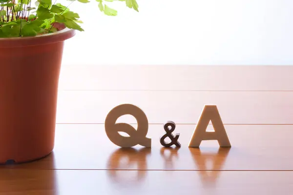 Symbol Green Pot Plant Concept Answers Questions — Stock Photo, Image