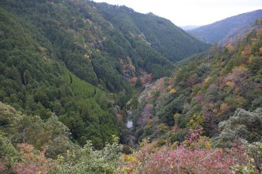 Sonbaharda dağ nehrinin güzel manzarası