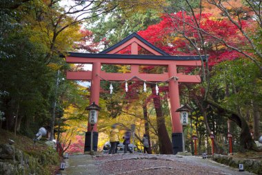 Şehrin güzel sonbahar manzarası