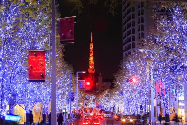 Japon metropolü parıldıyor, sayısız ışıkları engin gece gökyüzünü boyuyor.