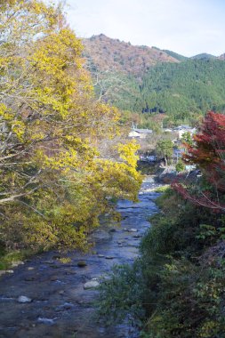 Ağaçlı ve dağlı güzel sonbahar manzarası. Japonya, Asya.