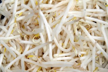 Beyaz fasulye filizlerini kapatın.