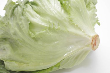 Beyaz arka planda taze yeşil organik lahana manzarası             