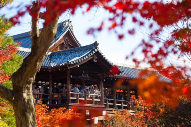 Gece güzel Japon tapınağı, Budizm konsepti.