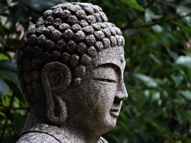 Güzel bir Buda heykelinin yakın plan fotoğrafı.