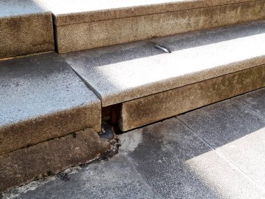 Bahçedeki beton merdivenler.