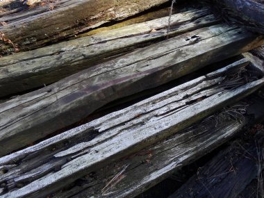 Eski tahtaların dokusu. Eski bir ormanın arka planı. Eski panoların arkaplanı.