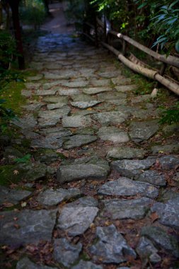 Parktaki taş patika