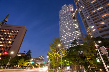 St. Luke 's Garden, Tokyo, Japonya