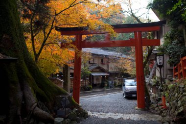 Japonya 'daki Japon mimarisine bakış