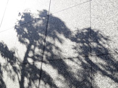 Ağaç dalı silueti, bitki örtüsü ve doğa